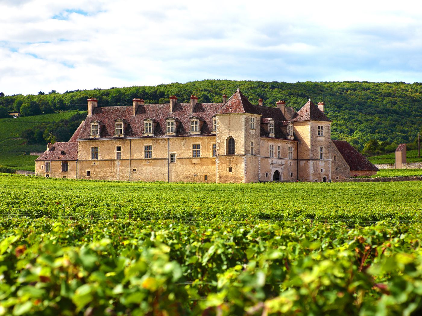 Le château du Clos de Vougeot au milieu des vignes, en Bourgogne